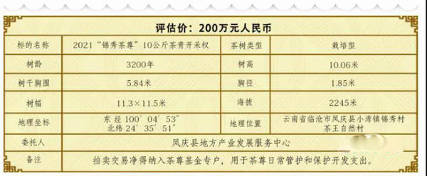 关于惊天价!云南3200年最大古树茶采摘权拍出1068万元创大世界基尼斯之最的热门资讯(1)