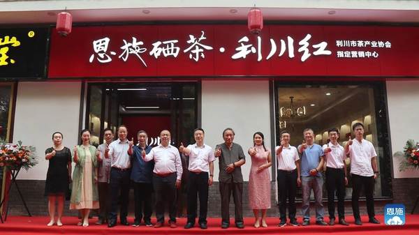 关于2020年恩施硒茶产业发展大事记(三)的新闻(3)