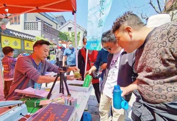 关于2021东港区(后村镇)第五届绿茶节：品碧海茶香 享魅力日照的热门信息(2)