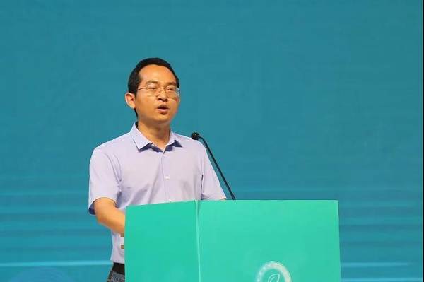 有关于2021中国白茶推介会在中国白茶城举行的热门资讯(5)