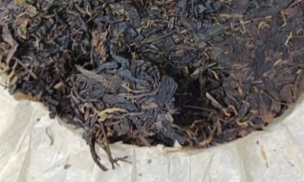 关于云南40万吨普洱茶躺在仓库！古树茶，无法面对残酷的现实的新闻(9)
