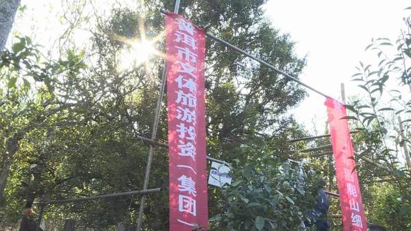 关于困鹿山“细叶皇后”开采 100克干茶拍卖价10万余元的热门资讯(6)