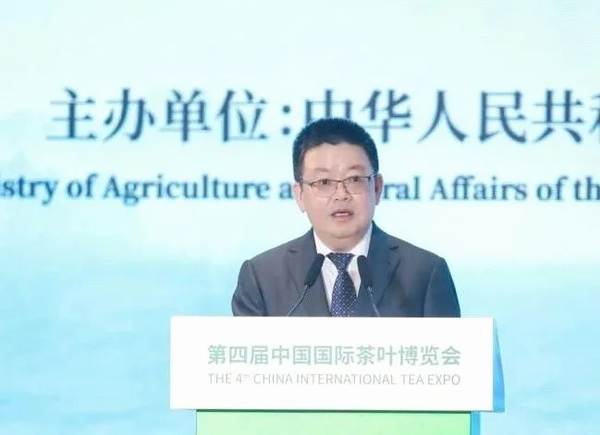 有关于如何推动茶产业持续健康发展？这些大咖有话说的热门信息(1)