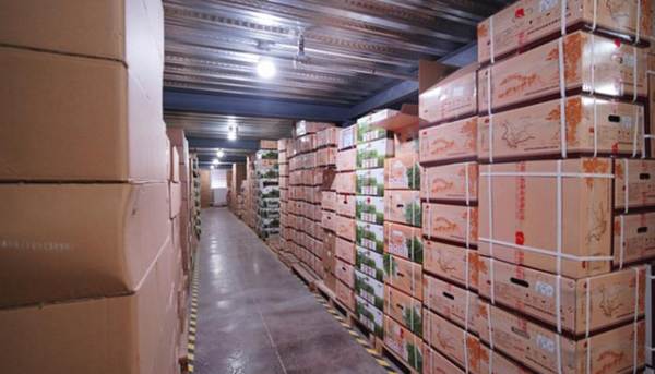 关于云南40万吨普洱茶躺在仓库！古树茶，无法面对残酷的现实的新闻