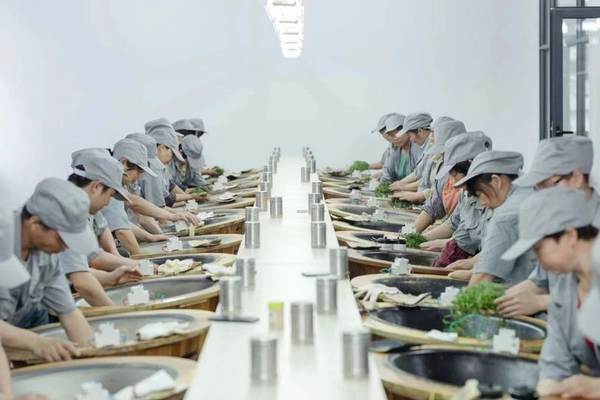 关于发展规划 | 浙江省茶产业“十三五”回顾与“十四五”展望的最新消息(7)