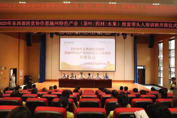 关于2020年恩施硒茶产业发展大事记（二）的热门消息(21)