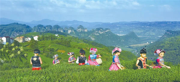 有关于茶旅融合是否有前途？这4地用数据说话！的热门消息