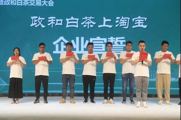 有关于2021中国白茶推介会在中国白茶城举行的热门资讯(7)