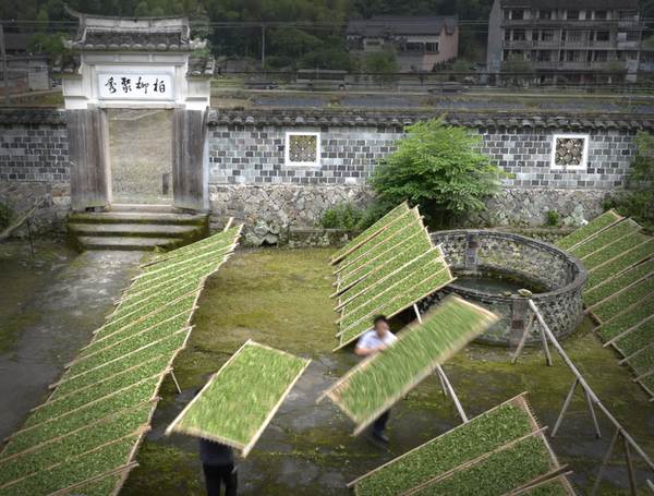 关于两会上的“茶声”指明茶业风向标，快来看吧！的资讯(2)