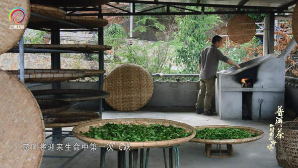 有关于优秀纪录片《普洱茶——时光在吟唱》走出国门的资讯(14)