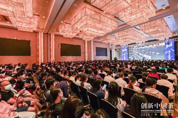 关于【盘点2020】快看!这些茶区发生了哪些大事?③的信息(4)