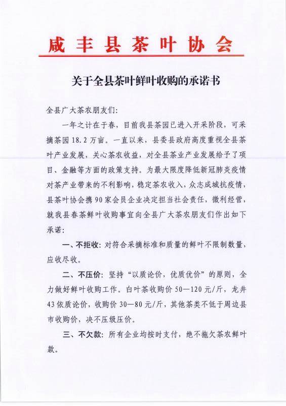 关于2020年恩施硒茶产业发展大事记（一）的最新资讯(19)