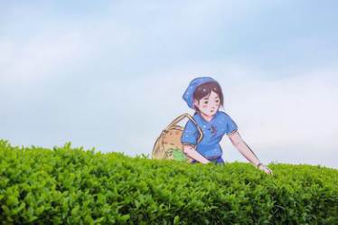 有关于链接现代消费者，看大佛龙井的品牌传播新探索的热门信息(13)