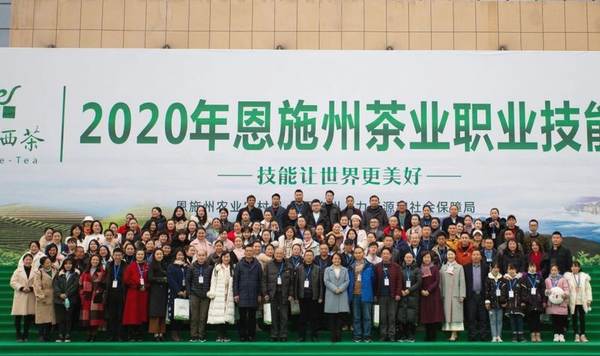 关于2020年恩施硒茶产业发展大事记(四)的热门资讯(8)