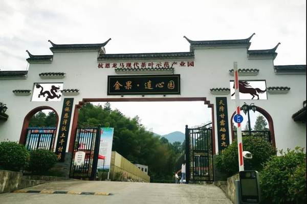 关于东西部扶贫协作发展茶产业助力脱贫攻坚——以杭州市对口帮扶湖北省恩施州为例的最新消息(9)