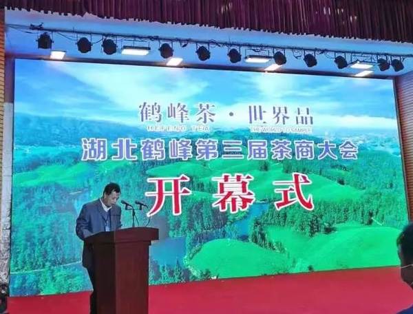 关于2020年恩施硒茶产业发展大事记(三)的新闻(16)