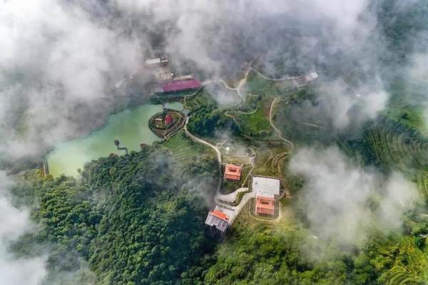 有关于福建安溪茶产业助力乡村振兴的经验与启示的热门消息(1)