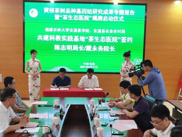 有关于首次破译黄棪茶树品种基因组，揭示安溪高香茶品种分子学机理的热门资讯(8)