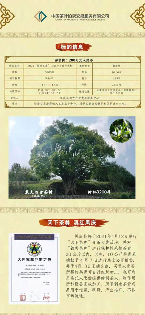 关于香竹箐锦绣茶王树10公斤鲜叶采摘权拍出1068万元天价的热门消息(2)