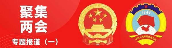 有关于全国人大代表刘文新建议：扶优扶强龙头茶企 建立茶旅专项基金的新闻