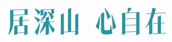 有关于链接现代消费者，看大佛龙井的品牌传播新探索的热门信息(7)