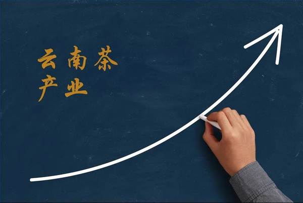 关于2020年度云南省茶产业综合产值破千亿的热门资讯