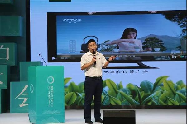 有关于2021中国白茶推介会在中国白茶城举行的热门资讯(1)