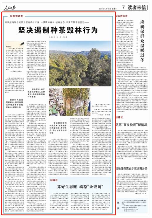 有关于坚决遏制种茶毁林行为！《人民日报》关注云南专项整治的热门信息