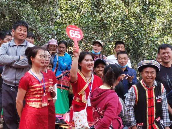 关于茶王“贡牛”每公斤鲜叶最高价格1.2万元！思茅区老安寨古树茶开采的热门新闻