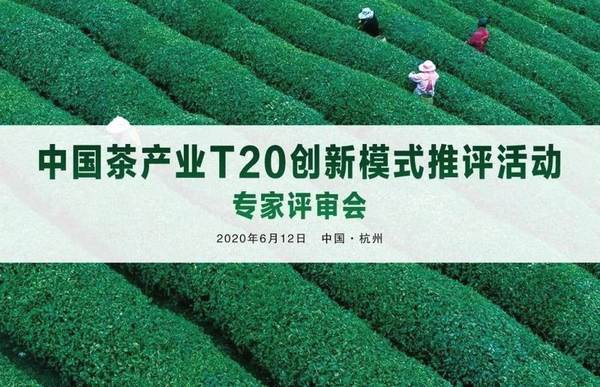 有关于中国茶产业T20创新模式推评活动结果揭晓的热门新闻(1)