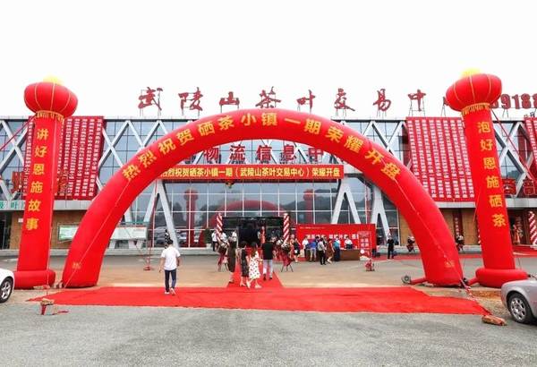 关于2020年恩施硒茶产业发展大事记（二）的热门消息(13)