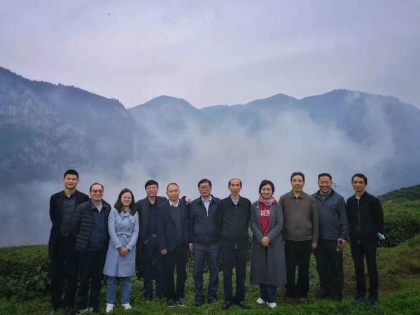 关于2020年恩施硒茶产业发展大事记(三)的新闻(22)