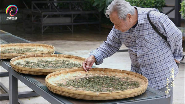 有关于优秀纪录片《普洱茶——时光在吟唱》走出国门的资讯(8)