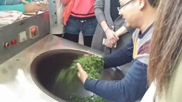 有关于该填报志愿了，茶学毕业生，后来怎样了？的消息