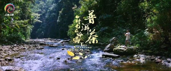 有关于优秀纪录片《普洱茶——时光在吟唱》走出国门的资讯(1)