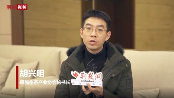 关于2020年恩施硒茶产业发展大事记(四)的热门资讯(10)