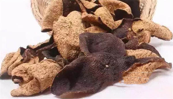 关于【2020年度观点】茶行业年度观点影响力盘点（上）的最新信息(10)