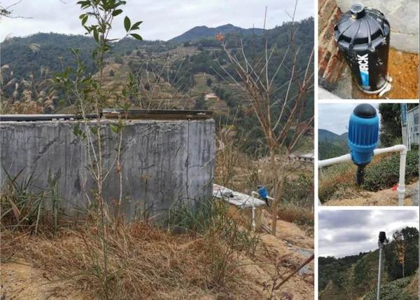 关于什么是智慧化有机茶庄园，智慧茶业到底是如何建造设计的的新闻(2)