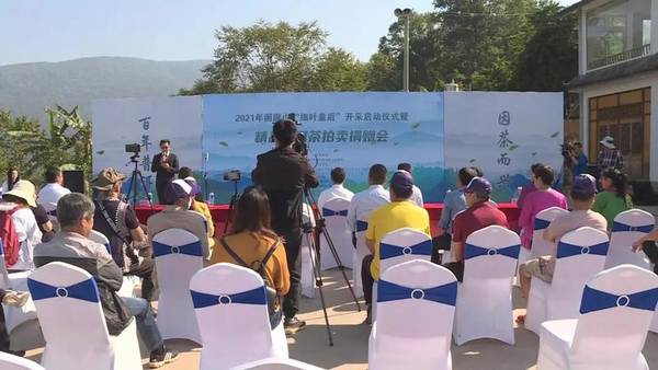 关于困鹿山“细叶皇后”开采 100克干茶拍卖价10万余元的热门资讯(2)