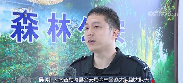 有关于焦点访谈:“谁破坏谁修复!” 整治毁林种茶 守住绿水青山的信息(3)