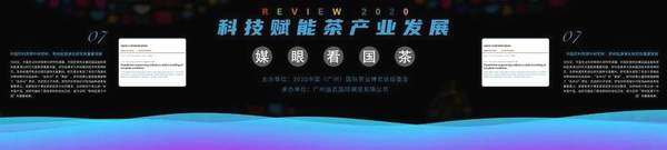 关于『媒眼看国茶』发布中国茶业年度十大事典 院士专家纵论科技赋能茶产业的新闻(15)