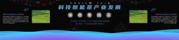 关于『媒眼看国茶』发布中国茶业年度十大事典 院士专家纵论科技赋能茶产业的新闻(19)
