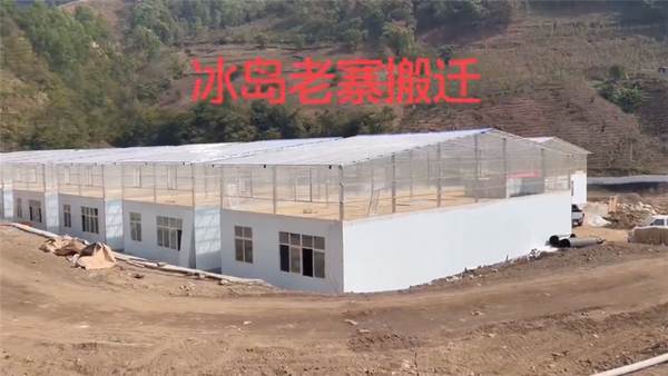 有关于保护古茶树资源，促进古茶树资源可持续利用，冰岛老寨整体搬迁！的最新资讯(3)