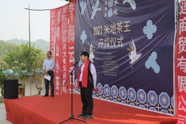 关于墨江县贡茶园茶王树开采,现场竞拍28万元的最新消息(5)