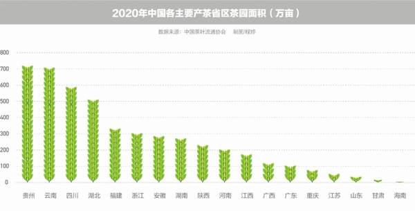 有关于“一两黄金一两茶”，谁炮制了几十万元1斤的天价茶？  的新闻(3)