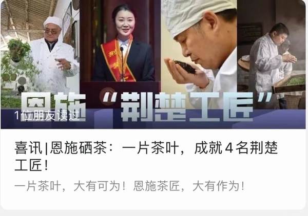 关于2020年恩施硒茶产业发展大事记(三)的新闻(14)