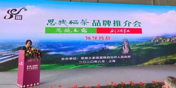 关于2020年恩施硒茶产业发展大事记（二）的热门消息(25)