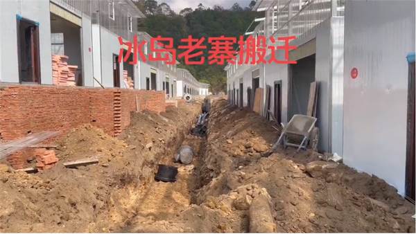 有关于保护古茶树资源，促进古茶树资源可持续利用，冰岛老寨整体搬迁！的最新资讯(4)