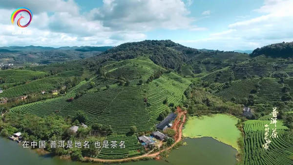 有关于优秀纪录片《普洱茶——时光在吟唱》走出国门的资讯