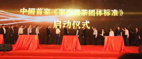 关于福鼎启动中国首家《家庭收藏团体标准》制定的最新资讯